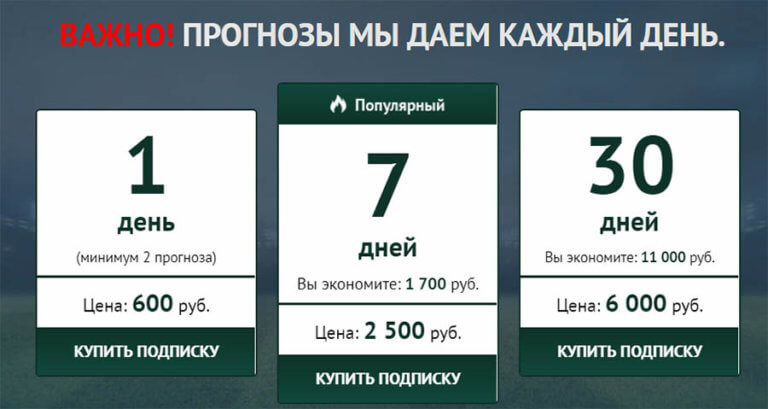 Sports-bet24 цены